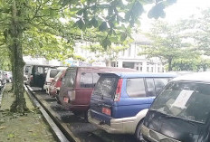 170 Kendaraan Bermotor Pemkot Banjar Nunggak Pajak, Terkendala Anggaran Jadi Alasan Belum Bayar 