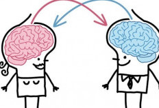Fakta Sains: Apa Sebenarnya yang Membedakan Otak Laki-laki dan Perempuan?