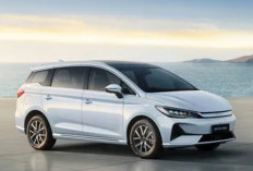 Mewah Tapi Murah: Bedah Teknologi Blade Battery BYD M6 yang Bikin Biaya Operasional Jadi Seharga Es Kopi