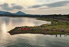 Jangan ke Purwakarta Sebelum Baca Ini! Rahasia 'Hidden Gem' di Tengah Hutan Jati yang Lagi Viral