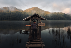 Menjelajahi Gunung Argopuro, Pesona Alam Jawa Timur dengan Jalur Pendakian yang Menantang