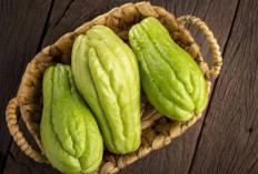 Mitos atau Fakta? Rebusan Labu Siam Diklaim Bisa Membersihkan Ginjal, Ini Penjelasan Dokter