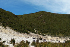 Gunung Papandayan Garut: Pesona Kawah, Hutan Mati, dan Panorama Pegunungan yang Memukau