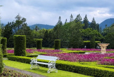 Keliling Dunia Tanpa Paspor, Taman Bunga Nusantara Cianjur Masih Jadi Magnet Wisata Favorit