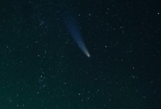 Mengenal Perbedaan Asteroid, Meteor, dan Komet dalam Tata Surya