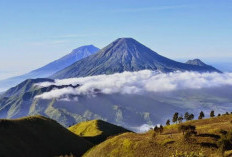 Negeri di Atas Awan Wonosobo: 5 Spot 'Healing' di Dieng yang Bikin Pikiran Adem
