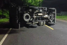 Hindari Lubang, Mobil Box Terguling di Jalan Nasional, Arus Lalin Dari Kedua Arah Sempat Tersendat 
