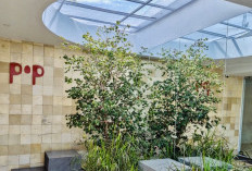 PoP Cafe Tasikmalaya: Tempat Nongkrong Hits yang Nyaman Buat WFC Seharian