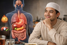 Jangan Kaget, Ini yang Terjadi pada Organ Tubuh Saat Puasa Ramadan