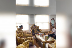 Perhutani dan Pemkab Tasik Teken MOU Pemanfaatan Lahan, Perkuat Perlindungan Ekologis dan Potensi Ekonomi