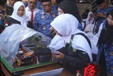Robot Pertanian Bawa Siswa MAN 4 Tasik Juara Robotik, Ciptakan Robot Pengendali Suhu Tanah Pada Tanaman Cabai