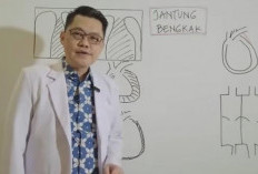 Panduan Lengkap Memahami Jantung Bengkak: Penyebab, Gejala, dan Cara Mengatasinya