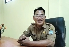 Paket Pelatihan Terdampak Efisiensi Anggaran, Dari 27 Paket Kini Hanya Mendapat 9 Paket Pelatihan