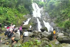 Panduan Wisata Curug Bungawari Kuningan: Lokasi, Harga Tiket, dan Tips Berkunjung