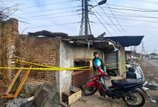 Kebakaran Gudang Rongsok Samping Gardu PLN Hanguskan 3 Kendaraan, Kerugian Ditaksir Capai Ratusan Juta