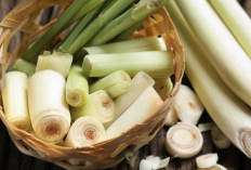 Daun Serai Ternyata Bukan Sekadar Bumbu Dapur, Ini Manfaatnya Buat Kesehatan dan Cara Olahnya yang Simpel!