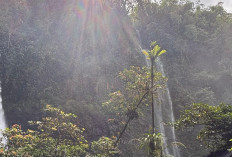 Curug Ciparay, Air Terjun Kembar Setinggi 70 Meter di Tasikmalaya
