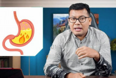 Asam Lambung Sering Naik Setelah Makan? Ini 6 Penyebab Utama dan Cara Mengatasinya