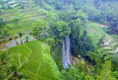 Panduan Lengkap ke Curug Sawer Tasikmalaya: Lokasi, Harga Tiket, dan Tips Seru!