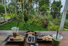 D’Kawong Cisayong, Tempat Nongkrong dengan Suasana Hijau yang Bikin Betah