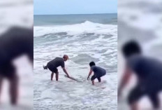 Nekat Berenang, Seorang Pemuda Tewas Tersapu Ombak, Ditemukan Sejauh 7 Km dari Titik Awal Kejadian