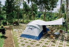 Hidden Gem di Tasikmalaya! Staycation Alam di Katilu Nature Lodge yang Bikin Healing Tanpa Harus ke Lembang