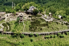 Cuma 8 Ribu! Intip Pesona Bukit Panyangrayan Tasikmalaya yang Mirip di Atas Awan