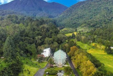 Mengenal Cianjur, Daerah Penghasil Lumbung Padi dengan 5 Tempat Wisata Memikat Hati, Ini Daftarnya...