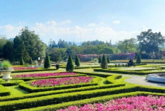 Wajah Baru Taman Bunga Nusantara 2026: Destinasi Klasik yang Tetap Jadi Primadona di Cianjur!