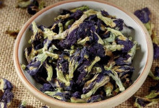 Bunga Telang Bukan Cuma Cantik, Ini 12 Manfaatnya untuk Tubuhmu