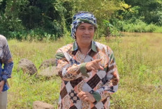 Pemkot Survei Calon Sekolah Rakyat di Lahan Bekas Galian, Ada Total Lima Titik yang Menjadi Rekomendasi