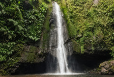 Pesona Curug Putih Cisayong, Air Terjun Tersembunyi di Kaki Gunung Galunggung yang Bikin Betah