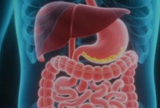 Sering Dianggap Remeh, 9 Camilan 