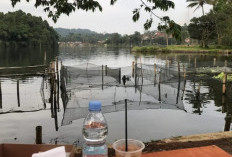 Seblak Balong Emak Panjalu: Sensasi Pedas Menikmati Kuliner di Tepi Kolam