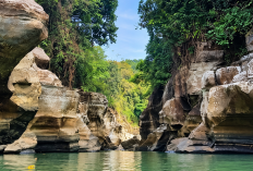 Di Balik Tebing Eksotis Tonjong Canyon, Perjalanan Menuju Keindahan yang Tak Instan