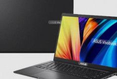 Budget Pelajar hingga Sultan: Ini Daftar Lengkap Harga Laptop ASUS 2026