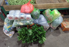 Seni Mengelola Waktu: Membangun Kedisiplinan dan Kemandirian di Semester Awal