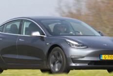 Jarak Tempuh 600 Km Tanpa Bensin? Inilah Alasan Mengapa Tesla Model 3 Masih Belum Terkalahkan di 2026