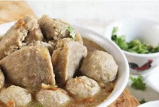 Surga Bola Daging! Ini 10 Bakso Paling Viral di Bogor yang Wajib Masuk Bucket List Kamu!