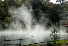 Update Harga Tiket Masuk Kawah Kamojang Garut Terbaru 2026 dan Jam Operasionalnya