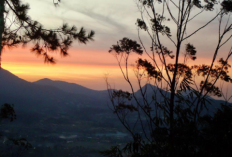 Wisata Alam Gunung Putri Lembang: Pendakian Santai dengan Pemandangan Bandung yang Memukau