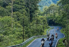 Menembus Kabut Naringgul Jalur Cianjur Selatan: Lebih dari Sekadar Perjalanan, Ini Adalah Terapi Jiwa