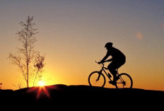 Bukan Sekadar Hobi, Ini Fakta Medis Kenapa Bersepeda Bisa Bikin Panjang Umur