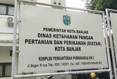 75 Proposal Bantuan Benih Ikan Direalisasikan Tahun 2025, Sisanya Didistribusikan Pada 2026