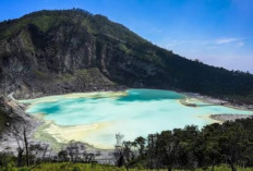 Wajib Mampir! 3 Destinasi Ikonik Ciwidey 2026: Dari Pesona Kawah Putih hingga Serunya Panen Di Alam Terbuka