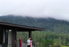 Cuma 3 Jam dari Jakarta! Intip Cabin House Viral di Pangalengan dengan View 'Swiss-nya' Bandung