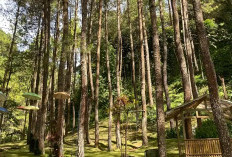 Update 2026: Surga Tersembunyi di Sumedang, Pesona Alam dan Kedamaian Camping di Wisata Alam Cipacet