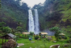 Menyingkap Tabir Legenda Sang Hyang Taraje: Tangga Langit di Jantung Rimba Garut