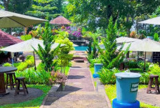 Bukit Sampalan Asri, Wisata Alam Sejuk di Lereng Gunung Sawal dengan Camping Murah dan Spot Foto Menawan