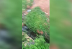 Warga Rekam Aliran Limbah TPA Diarahkan ke Drainase Cipajaran, Dinas LH Sebut Tidak Berbahaya